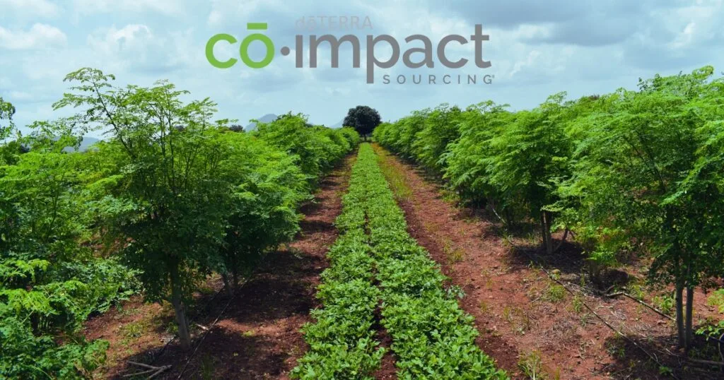 doTerra Abastecimiento Co Impacto3